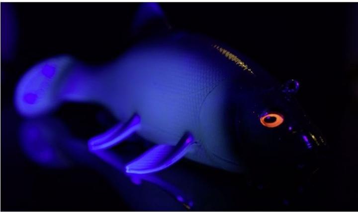 Produktbild Quantum Freak of Nature SwimBait Tench (23 cm)