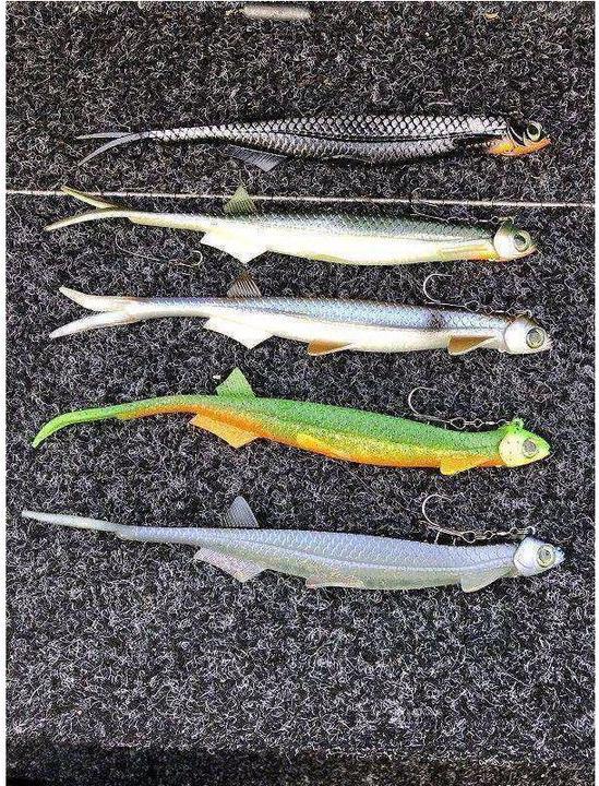 Immagine prodotto Quantum Set di alette pelagiche (21 cm)