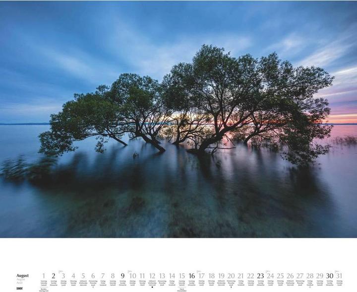 Produktbild Heimische Bäume 2026 – Wandkalender 60x50 cm – Spiralbindung (58.4 x 48.5 cm)