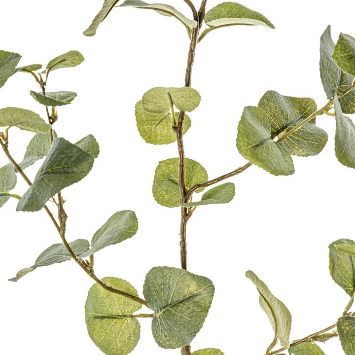 Immagine prodotto pfister Eukalypa