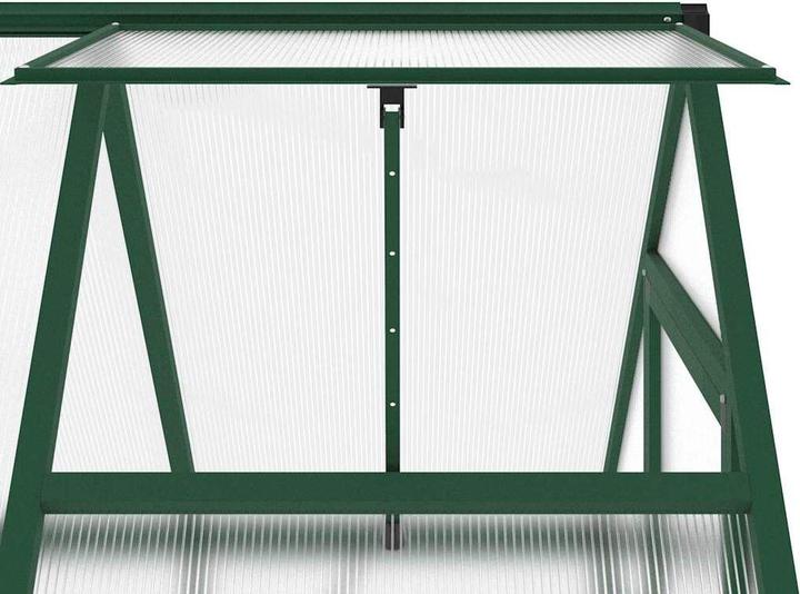 Actual product image vidaXL Gewächshaus