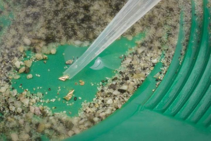 Actual product image S E 50 Pc Plastic Dropper for Gold Panning- 5.5", 3ML Capacity