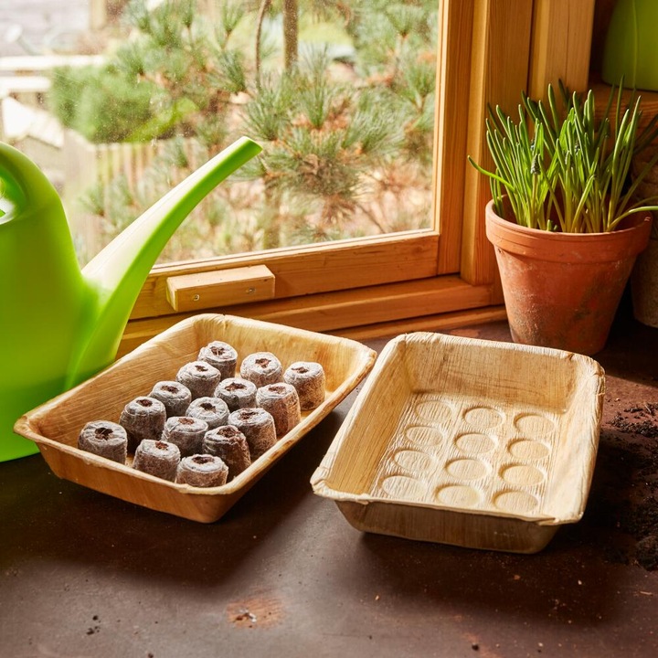 Actual product image Siena Garden Swelling tablets