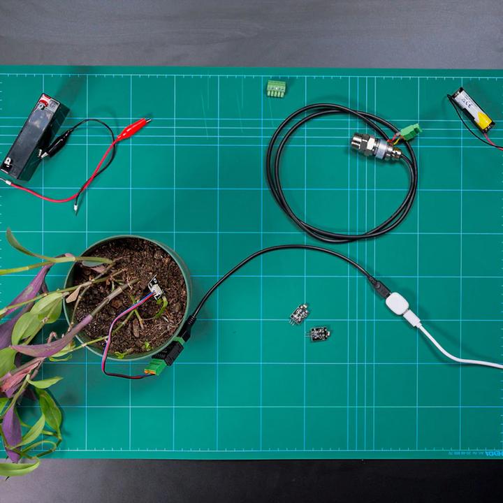 Image du produit Shelly · DIY · The Pill