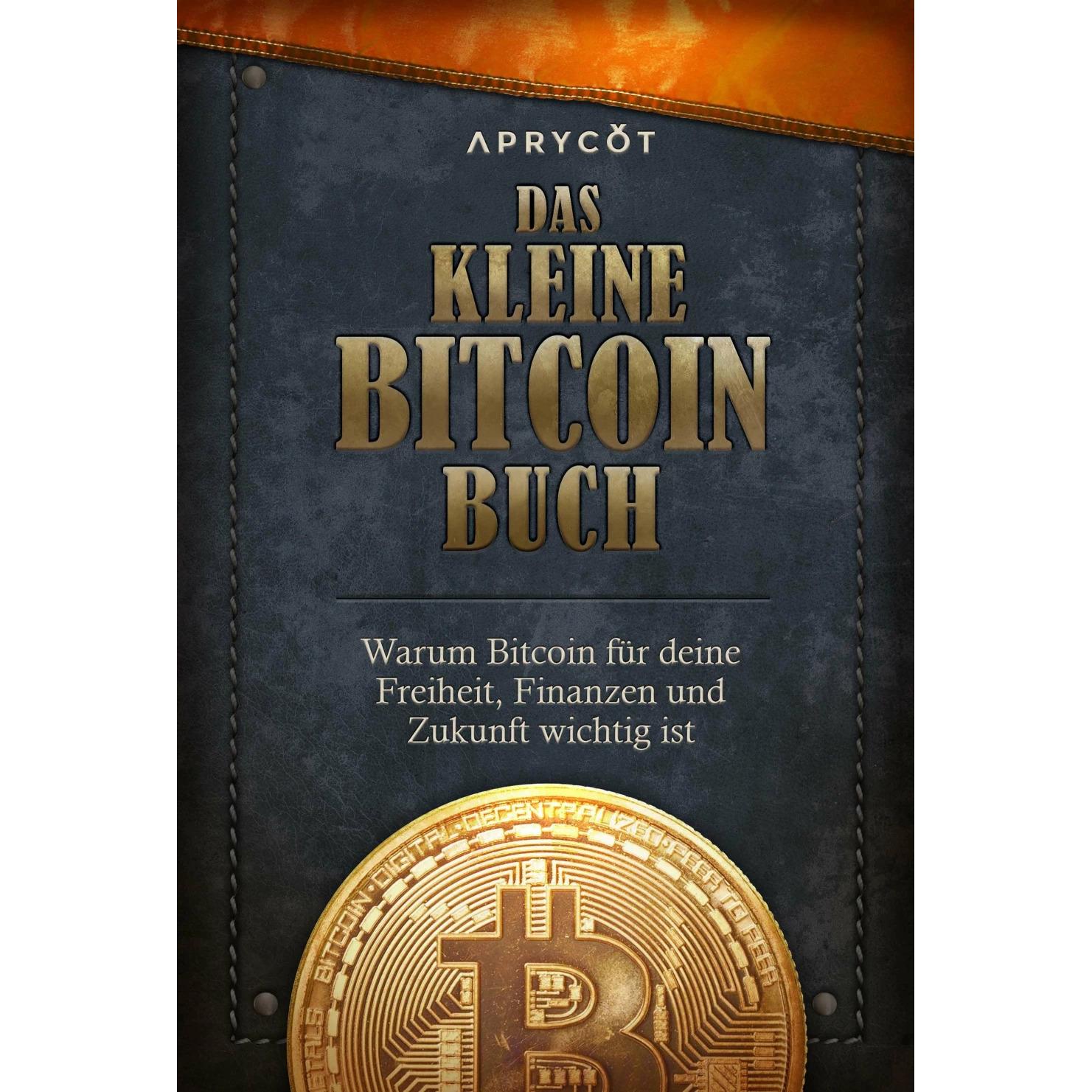 Fabio Troendle, Ratgeber von Alexander Lloyd, Alex Gladstein, Lily Liu, The Bitcoin Collective, Luis Buenaventura