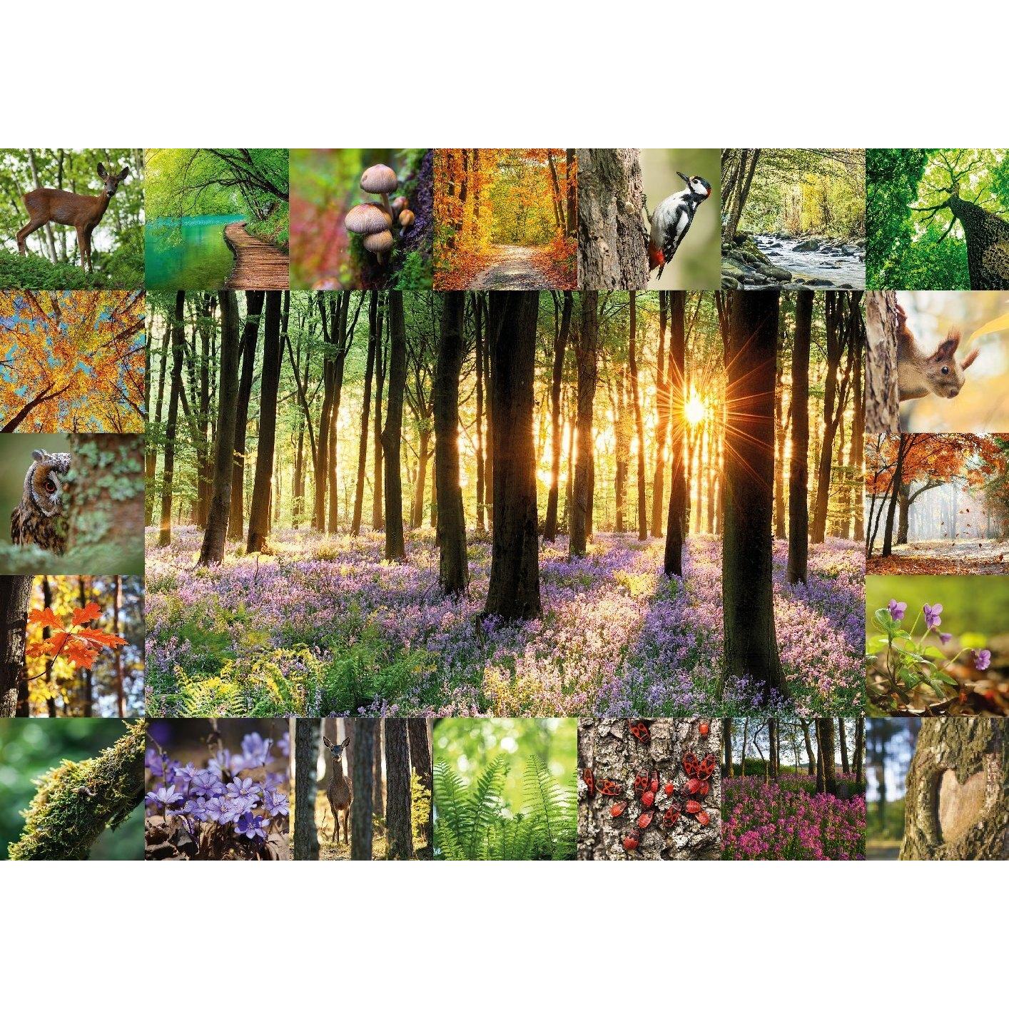 Thumbnail - Starnberger Spiele Puzzle Waldbaden (1000 Teile) (1000 Teile)