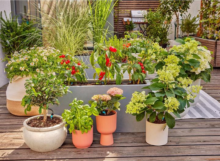 Immagine prodotto Gardena Set di sistemi a microgoccia Terrazza (Set per l'irrigazione a goccia)