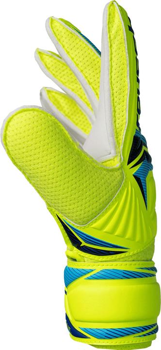 Produktbild Reusch Attrakt Solid (5.5)