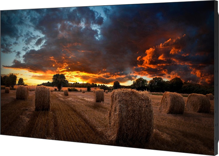 Actual product image Samsung VM55B-U (1920 x 1080 pixels, 55")