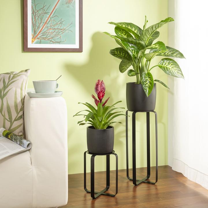 Produktbild Scheurich Avignon 51