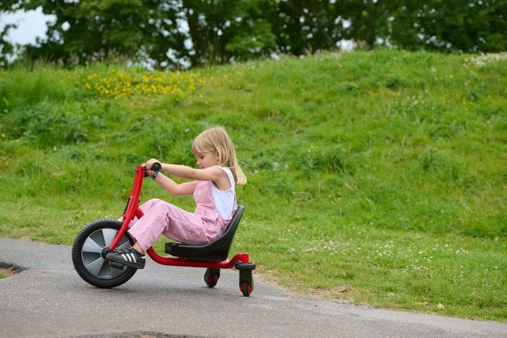 Actual product image Winther ® VIKING CHALLENGE Swing Trike