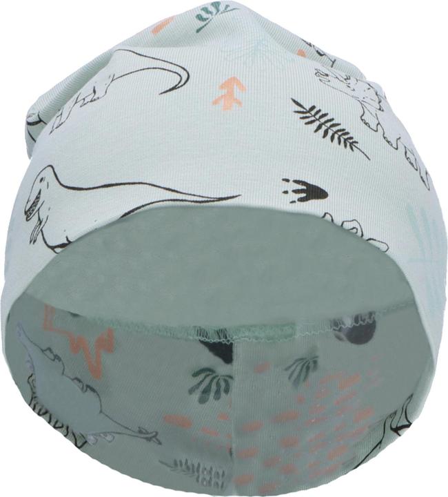 Actual product image Sterntaler Kids Transitional Cap Dinosaur (45)