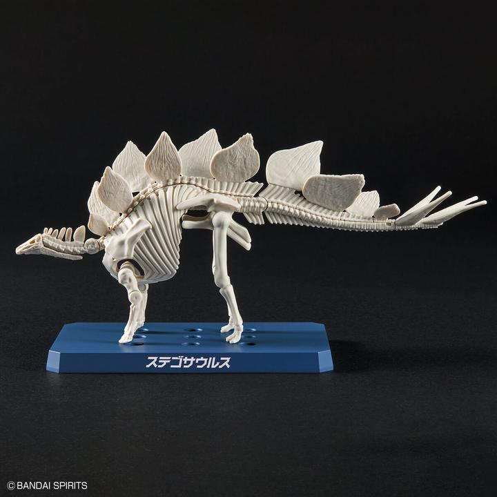 Actual product image Bandai Stegosaurus