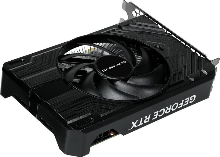 Produktbild Gainward GeForce RTX 4060 Pegasus (8 GB)