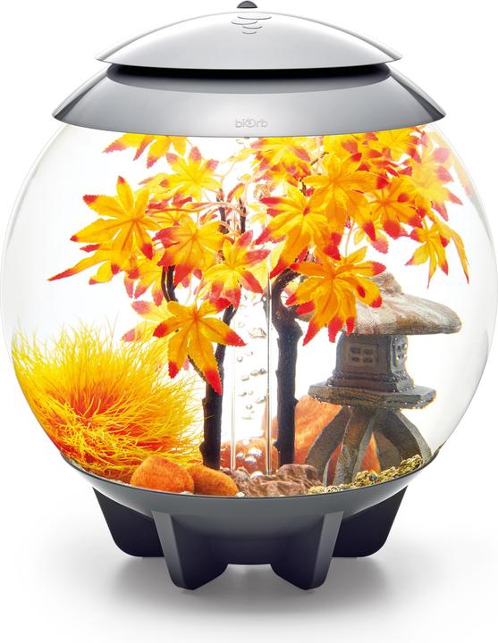 Actual product image Oase 55027 Aquarium decoration 30 l (Embellishment, other buildings)