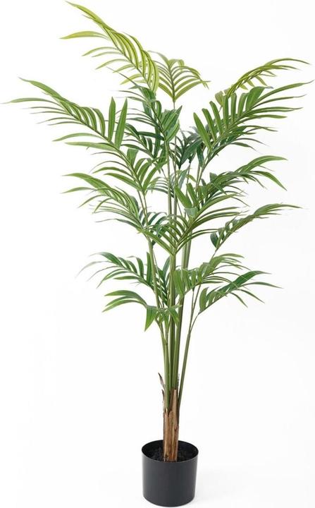 Image du produit present time Palm (120 cm)