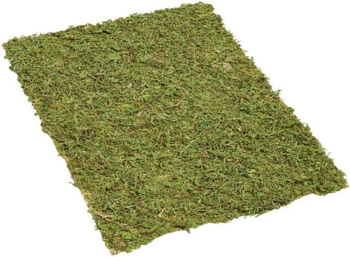 Hobby Fun Tappetino di muschio 20 cm x 30 cm