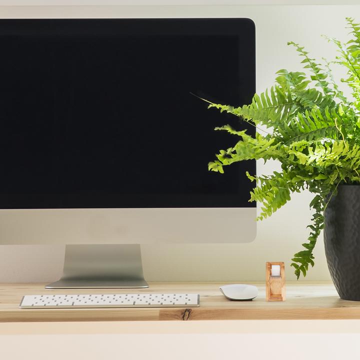 Actual product image Relaxdays Adhesive Tape Dispenser