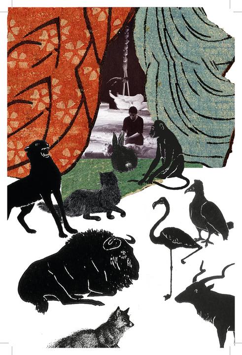 Produktbild Mein kleiner Zeh war ein Wort (Deutsch, Yoko Tawada, 2013)