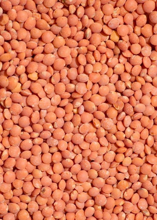 Produktbild KoRo Bio rote Linsen (2000 g)