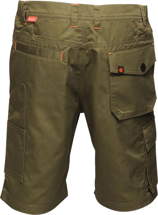Actual product image Regatta Heroic CargoShorts (44)