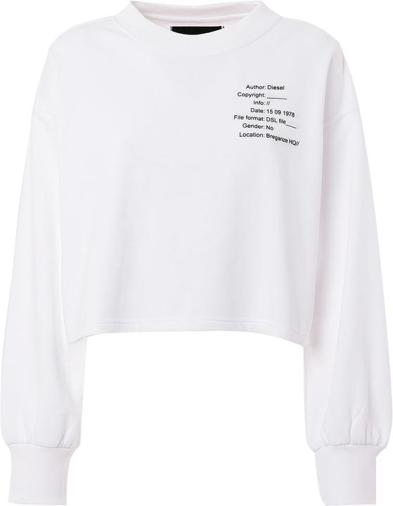 Diesel Pullover Casual Locker sitzend (XS)