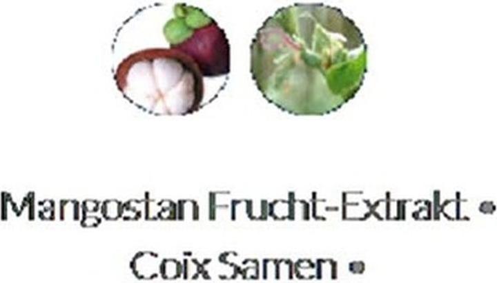 Produktbild L'Anza Healing Smooth - Glossifying Conditioner (250 ml)