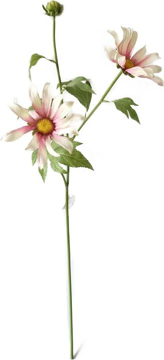 Actual product image HTI-Living Chrysantheme 74 cm Hellrosa (74 cm)