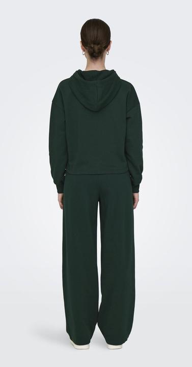 Produktbild Only Play ONPGO Sweatshirt Kapuzenpullover (S)