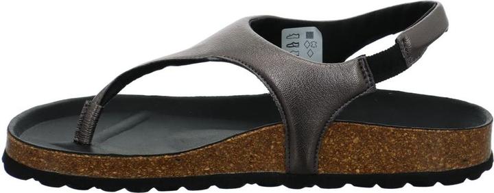 Produktbild Verbenas Reagan (36)