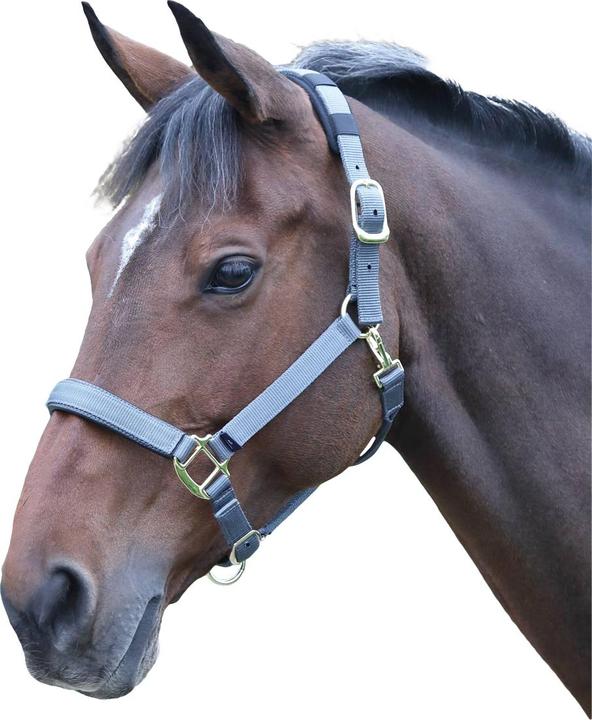 Immagine prodotto Shires UTER239 P