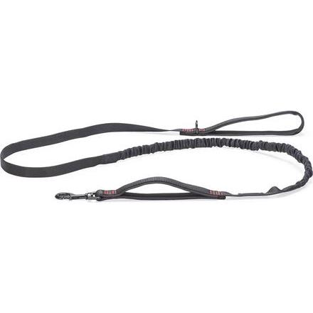 Beeztees Premium Elastic Leine (Cane, Passeggiare), Collare + Guinzaglio