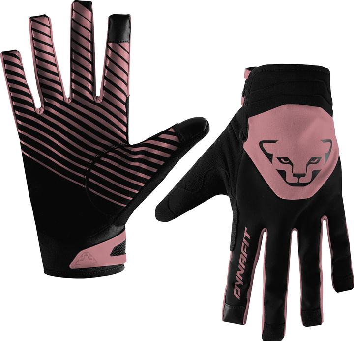 Produktbild Dynafit Radical Softshell Handschuhe (M)
