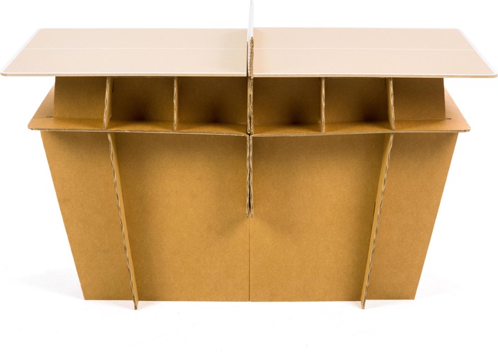Actual product image Pongori PPT 100 INDOOR