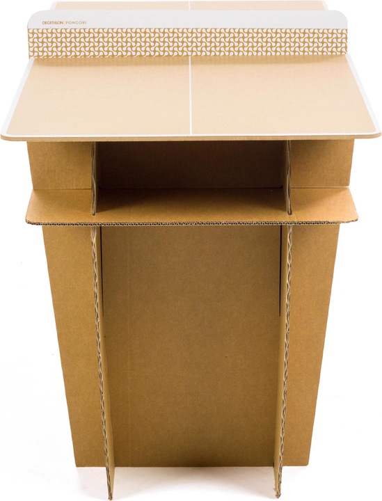 Actual product image Pongori PPT 100 INDOOR