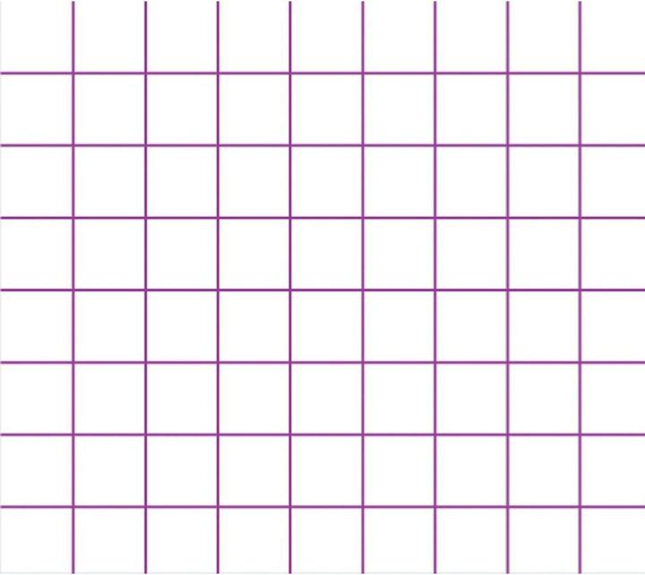 Immagine prodotto Clairefontaine Taccuino con righello (A4+, Quadretti, Copertina rigida)