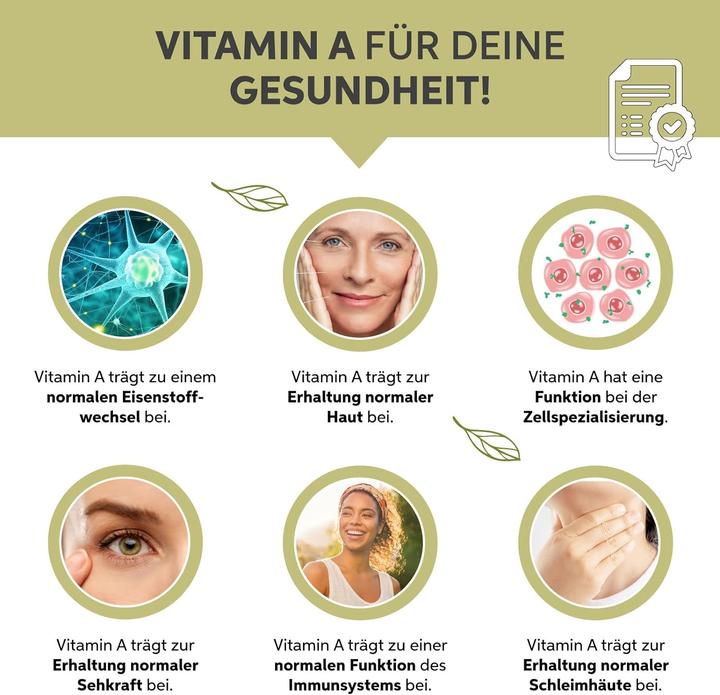 Produktbild Eltabia Bio Moringa Pulver aus Indien | Moringa Oleifera Blattpulver in Premium Rohkost Qualität