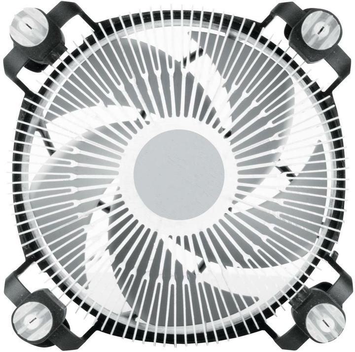 Produktbild Arctic Alpine 17 (77 mm)