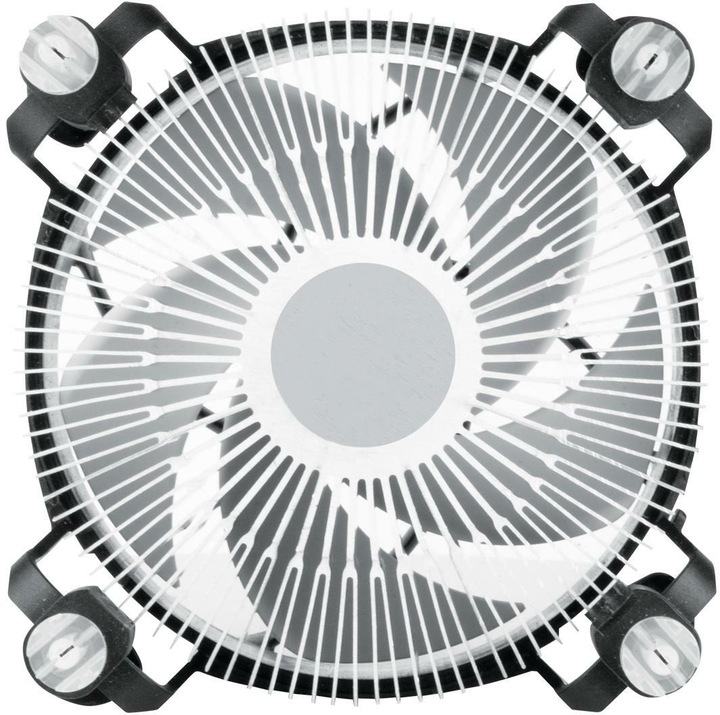 Actual product image Arctic Alpine 17 (77 mm)