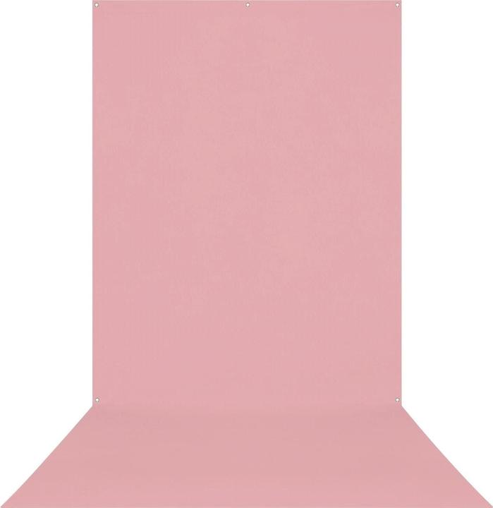 Blush Pink, Light roze, Pink, Rose