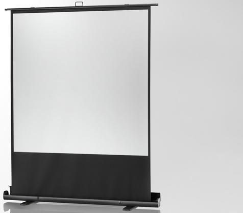 Actual product image Celexon Ultramobil Plus Professional (96", 1:1)