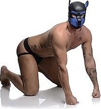 Produktbild Master Series Neoprene Puppy Hood - Black and Blue