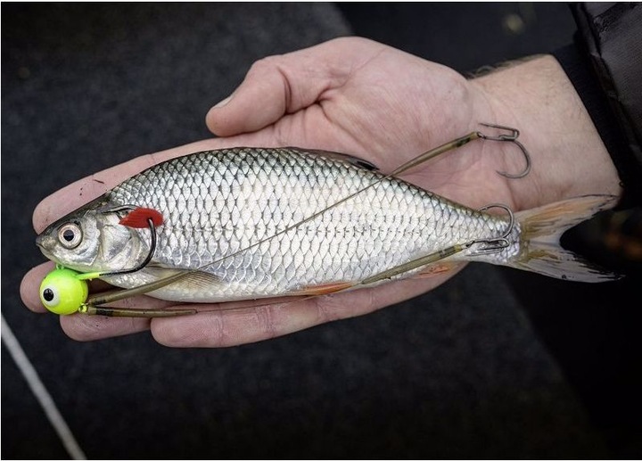 Produktbild Quantum Mr. Pike Fire-Ball Jighead