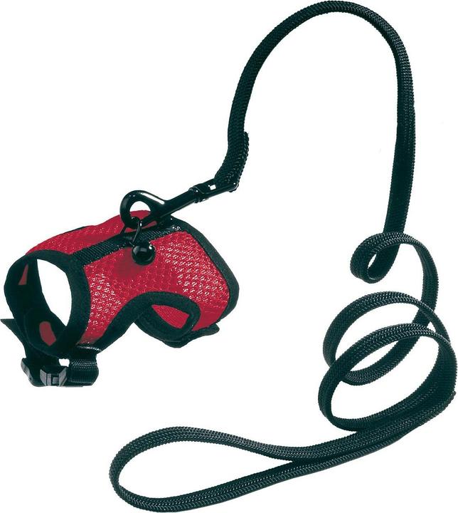 Immagine prodotto Ferplast Jogging (S, Roditori, Jogging)