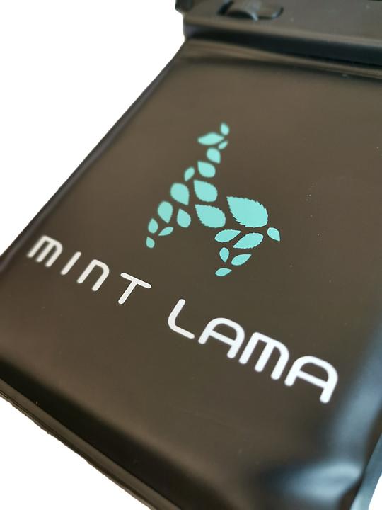 Actual product image Mint Lama Handyhülle