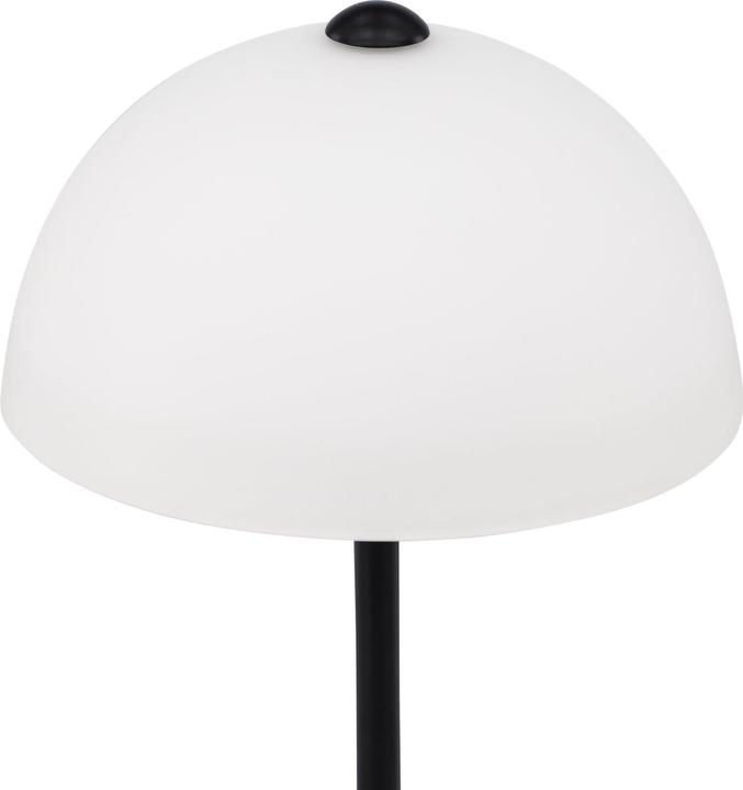 Actual product image Venture Home Ferrand (E14)