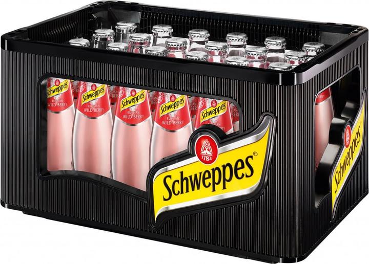 Actual product image Schweppes Russian Wild Berry Glass Case (24 x 20 cl)
