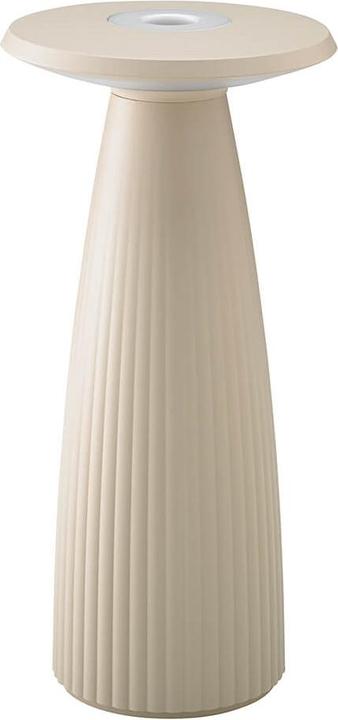 Beige dune