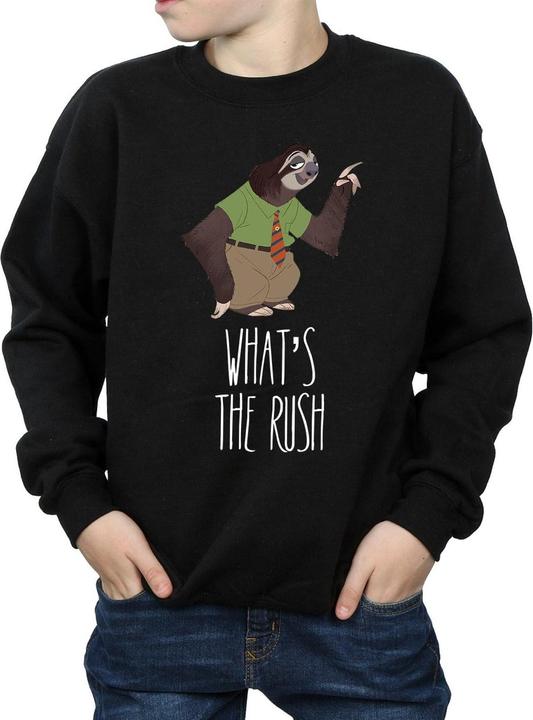 Produktbild Disney Zootropolis What's The Rush Sweatshirt Jungen (128)