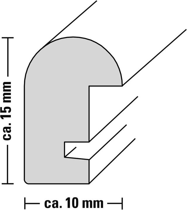 Immagine prodotto Hama Phoenix (13 x 18 cm)